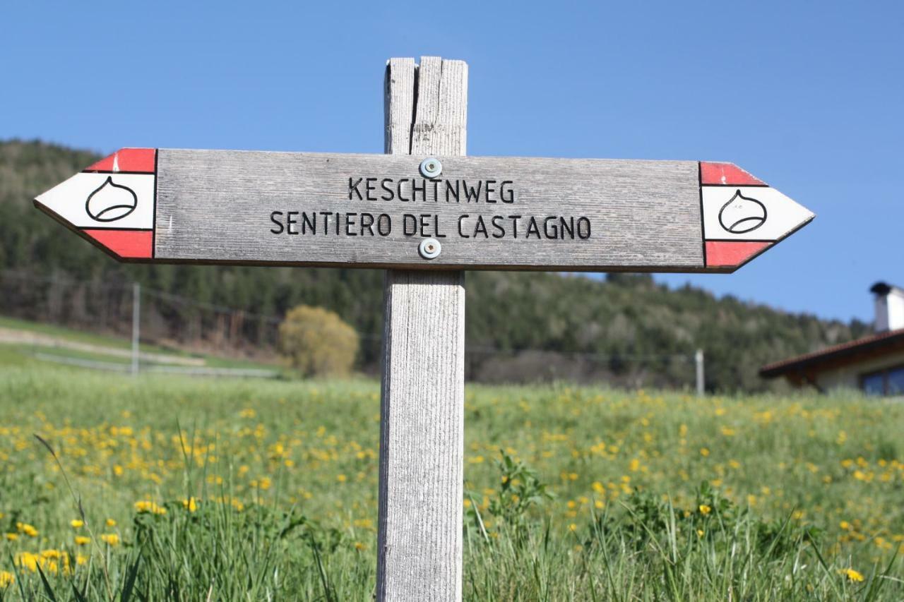 Tschott Hof Βίλα Villandro Εξωτερικό φωτογραφία
